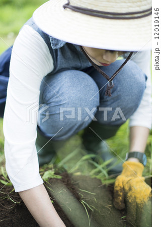 若者と農業 12019146