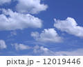 空の雲 12019446