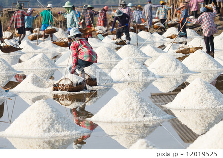 saline in Samutsakorn saline in Samutsakorn 12019525