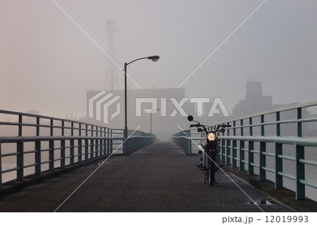 ハンターカブで朝霧を追いかけて 12019993