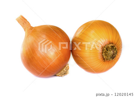 Ripe onion . 12020145