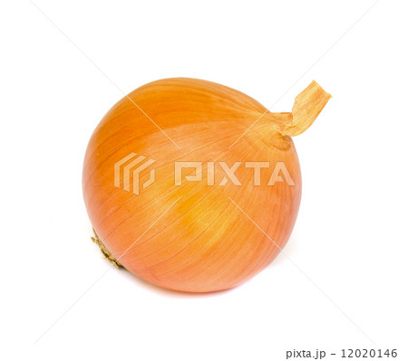 Ripe onion . 12020146