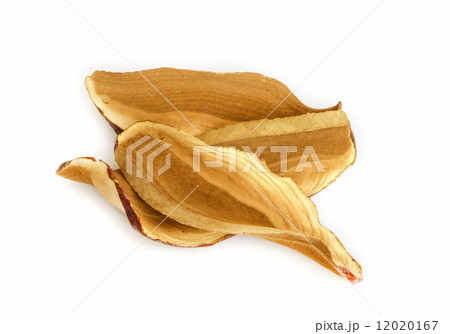 Ling Zhi Mushroom. Ling Zhi Mushroom. 12020167