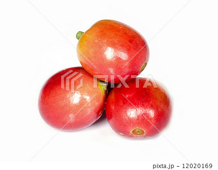 red ripe coffee beans. 12020169