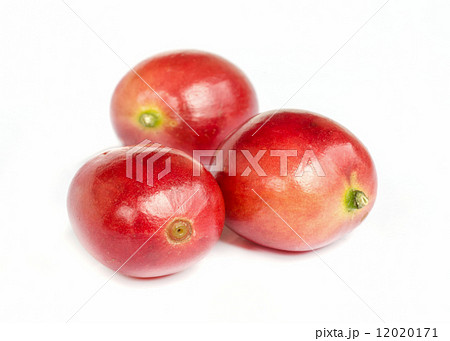 red ripe coffee beans. 12020171