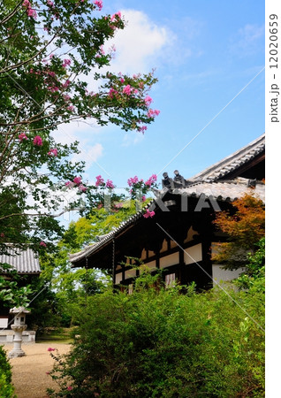 海龍王寺本堂 海龍王寺本堂 12020659