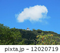 岩国城 12020719