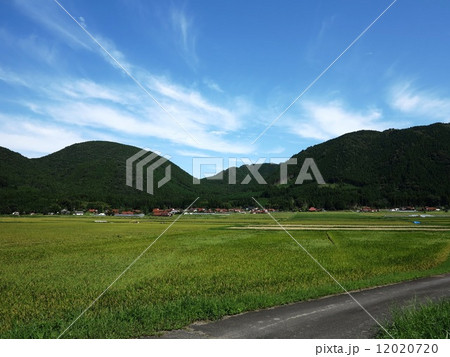 田園 12020720