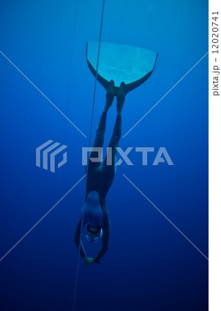 フリーダイバー フリーダイバー 12020741