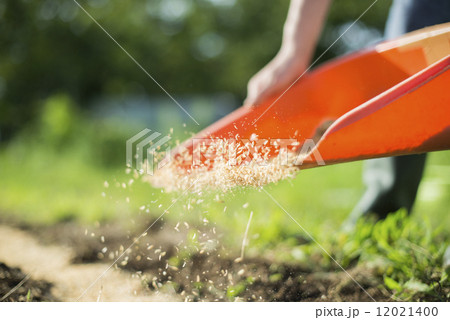 若者と農業 若者と農業 12021400