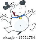 Happy White Fat Dog Jumping 12021734