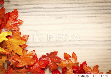 foliage, autumn leaves 12021776