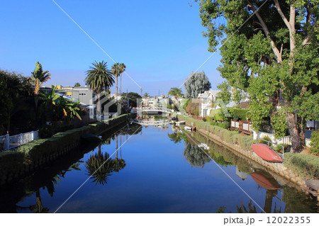 ヴェニス 12022355