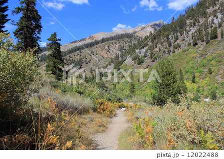 ミネラルキング/セコイア国立公園 12022488