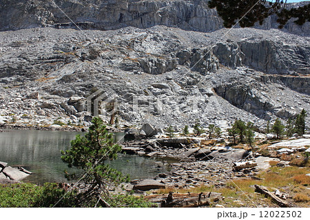 ミネラルキング/セコイア国立公園 12022502