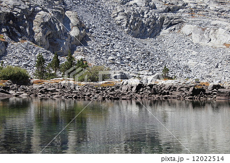 ミネラルキング/セコイア国立公園 12022514