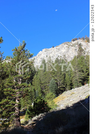 ミネラルキング/セコイア国立公園 12022543