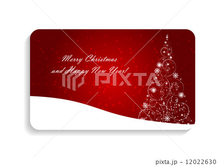 Abstract Beauty Christmas and New Year Card Vector Illustration. 12022630