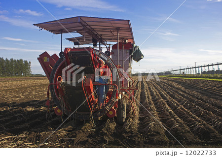 ポテトハーベスター 12022733