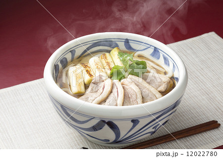 鴨うどん 12022780