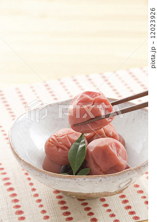 うめぼし 12023926