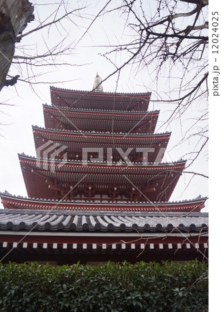 浅草寺 五重塔 浅草寺 五重塔 12024025