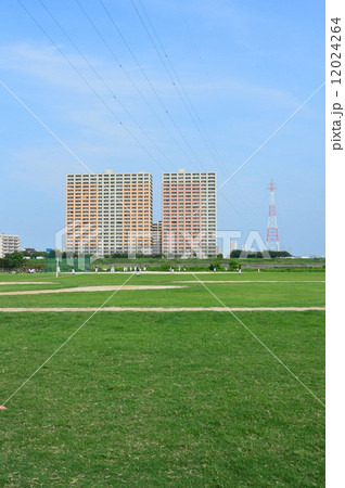 河川敷の野球場(江戸川沿い/東京都江戸川区平井) 河川敷の野球場(江戸川沿い/東京都江戸川区平井) 12024264