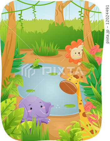 Safari Animals Safari Animals 12024491