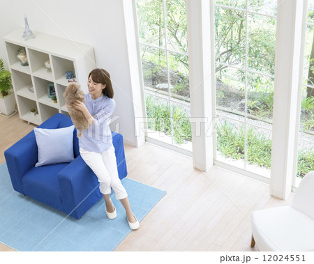 トイプードルを抱き上げる女性 12024551