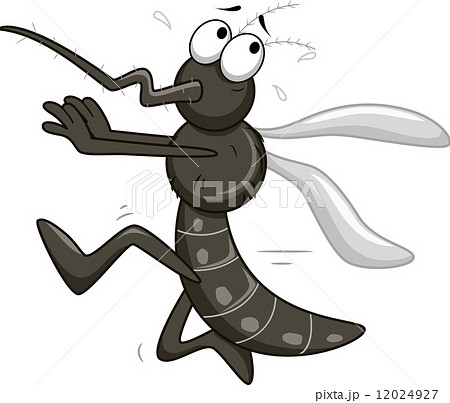 Mosquito Mascot Mosquito Mascot 12024927