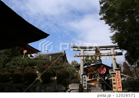 地主神社 地主神社 12026571
