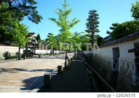 津和野のメインストリート 津和野のメインストリート 12026575