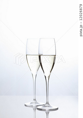 シャンパン 12026879