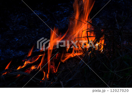 flame 12027020