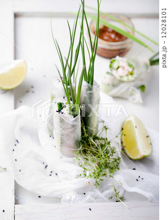 Fresh spring rolls on a white background Fresh spring rolls on a white background 12028101
