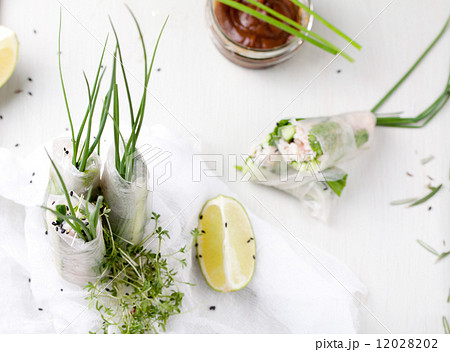 Fresh spring rolls on a white background 12028202
