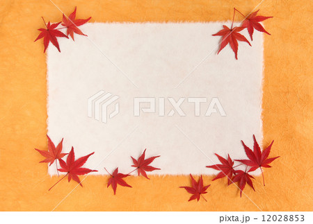 背景・もみじ和紙2色01 背景・もみじ和紙2色01 12028853