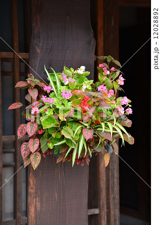 街並の花飾り 12028892