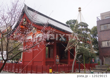 浅草 浅草寺 二天門の写真素材