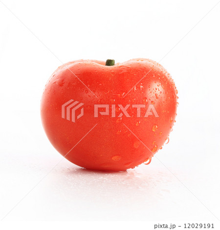 red tomato with water drops, isolated on white background 12029191