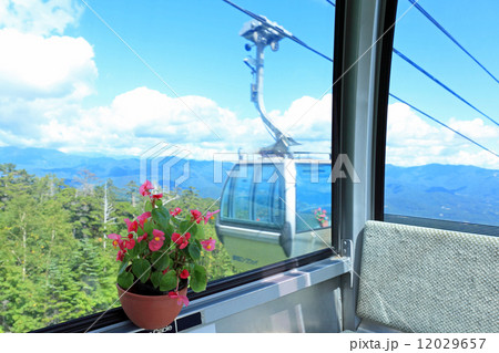 ゴンドラ内のベゴニア 12029657