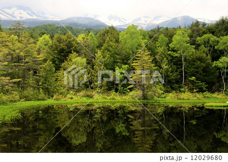 乗鞍高原、牛留池 12029680