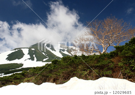 乗鞍岳、初夏 乗鞍岳、初夏 12029685