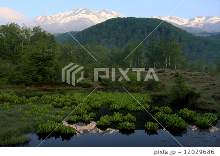乗鞍高原、まいめの池 12029686