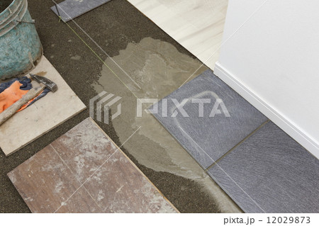 タイル張り タイル張り 12029873