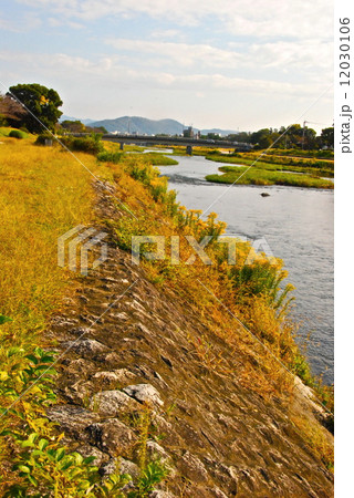 賀茂川(鴨川)の土手(京都市北区) 賀茂川(鴨川)の土手(京都市北区) 12030106