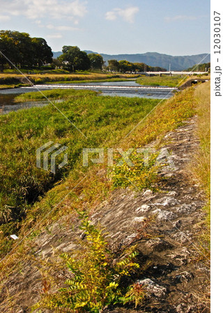 賀茂川(鴨川)の土手(京都市北区) 賀茂川(鴨川)の土手(京都市北区) 12030107