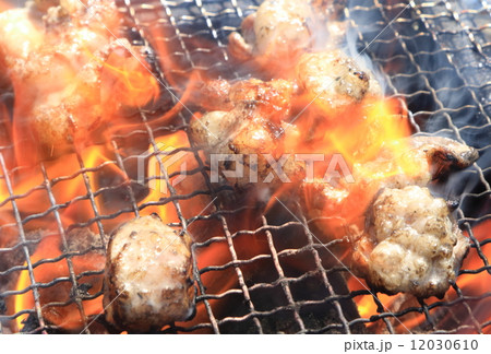 ホルモン焼 ホルモン焼 12030610