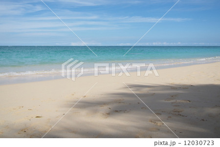 ラニカイビーチ 12030723