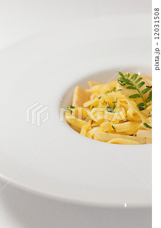 パスタ パスタ 12031508